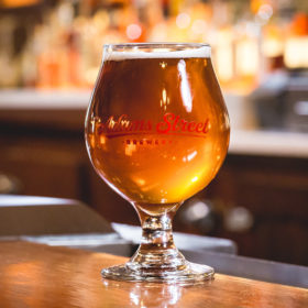 Adams Street Brewery Tulip Glass with craft beer.